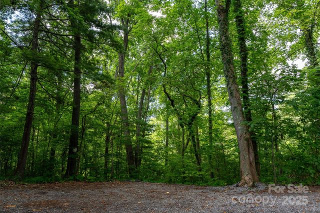 99999 Buffalo Trail 86, Asheville, NC 28805