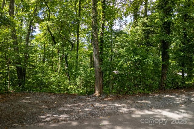 99999 Buffalo Trail 86, Asheville, NC 28805