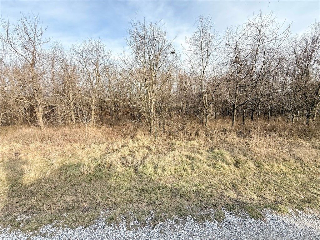 Lot 29 Log Cabin Drive, Sulphur Springs, AR 72768