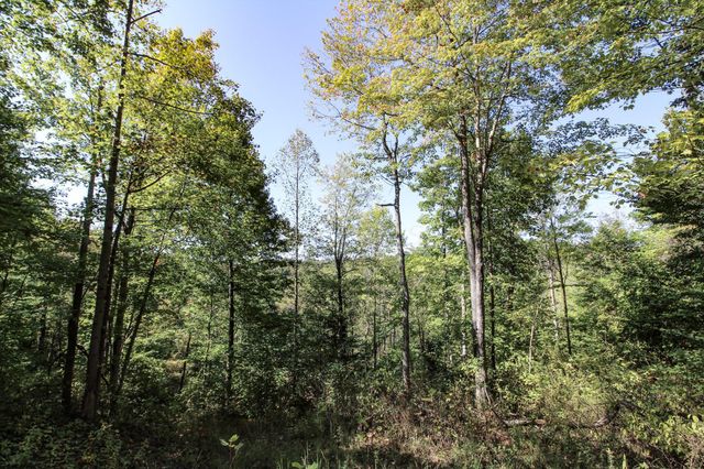 Lot 4 Moss Run Road, Marietta, OH 45750