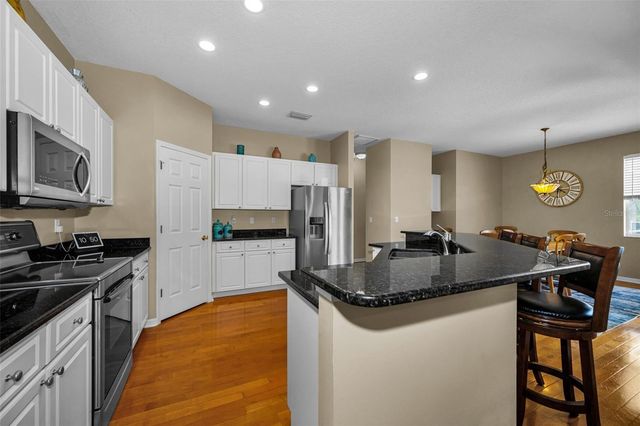 22441 PANTHER RUN COURT, Land O Lakes, FL 34639