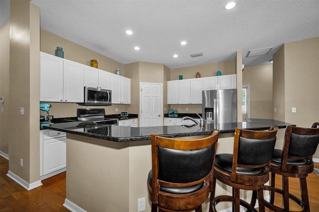 22441 PANTHER RUN COURT, Land O Lakes, FL 34639