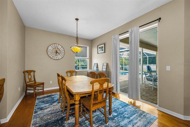 22441 PANTHER RUN COURT, Land O Lakes, FL 34639