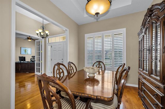 22441 PANTHER RUN COURT, Land O Lakes, FL 34639