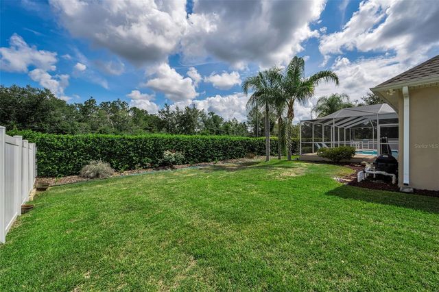 22441 PANTHER RUN COURT, Land O Lakes, FL 34639