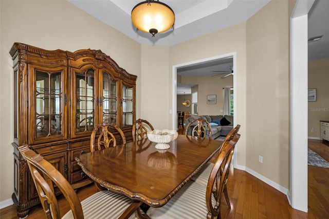 22441 PANTHER RUN COURT, Land O Lakes, FL 34639