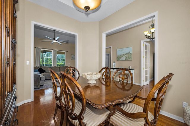 22441 PANTHER RUN COURT, Land O Lakes, FL 34639