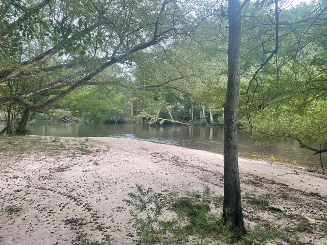 1373 Bridge Street, Branchville, SC 29432