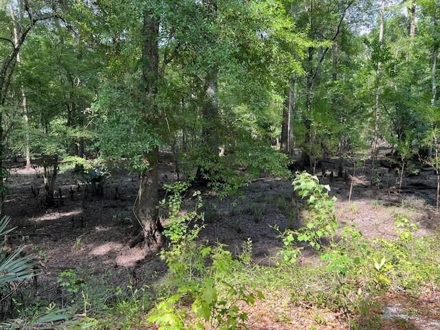 1373 Bridge Street, Branchville, SC 29432