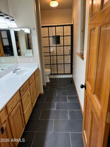 2641 W MAPLE Lane W, Show Low, AZ 85901