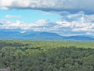 LOT 20 Mt Springer Road, Ellijay, GA 30540