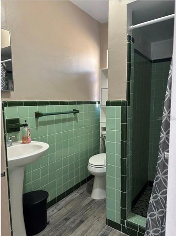 607 E JOHNS AVENUE, Mount Dora, FL 32757