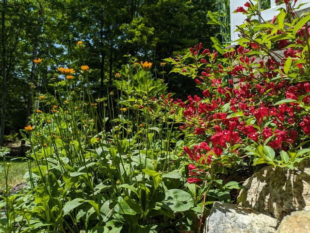 541 Bedford Road, New Boston, NH 03070