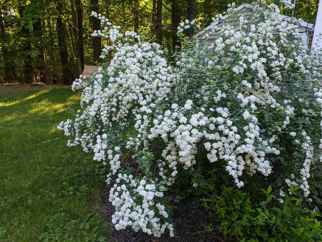 541 Bedford Road, New Boston, NH 03070