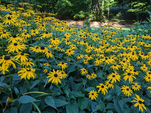 541 Bedford Road, New Boston, NH 03070