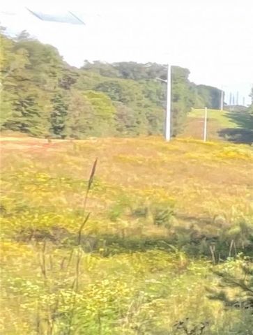 4310 Ledan Ext, Gainesville, GA 30506