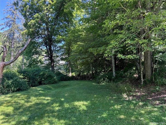 60 Alder Creek Road, Livingston Manor, NY 12758