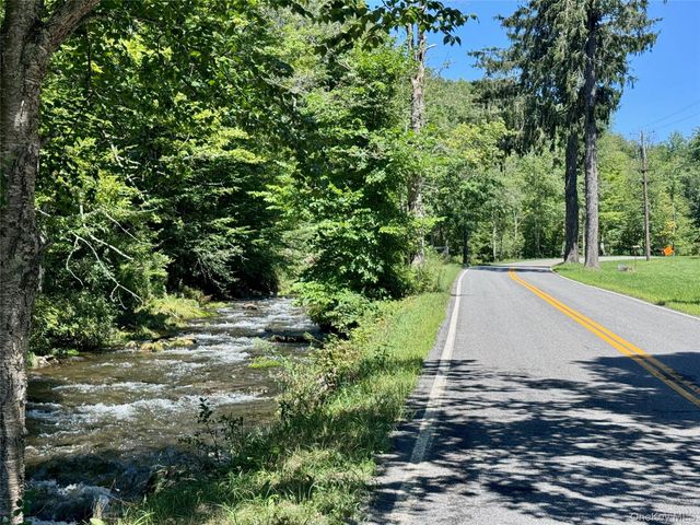 60 Alder Creek Road, Livingston Manor, NY 12758