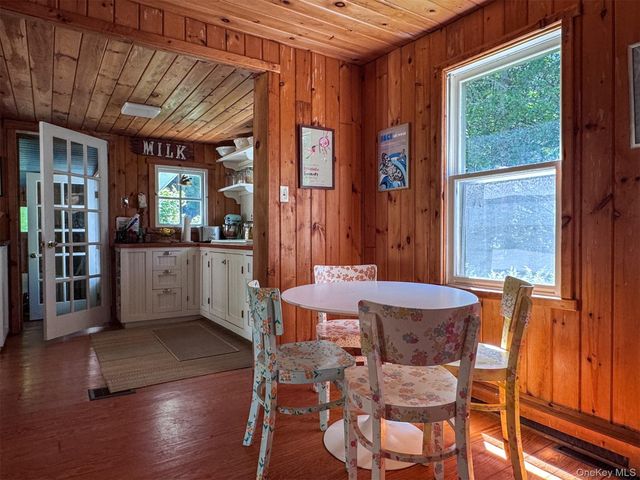 60 Alder Creek Road, Livingston Manor, NY 12758
