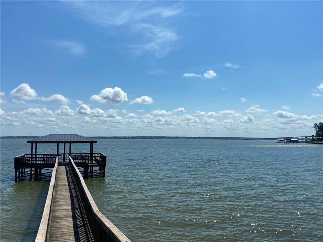 51 Roatan Drive, Point Blank, TX 77364