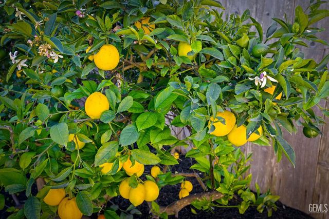 93 Chuparrosa Drive, San Luis Obispo, CA 93401