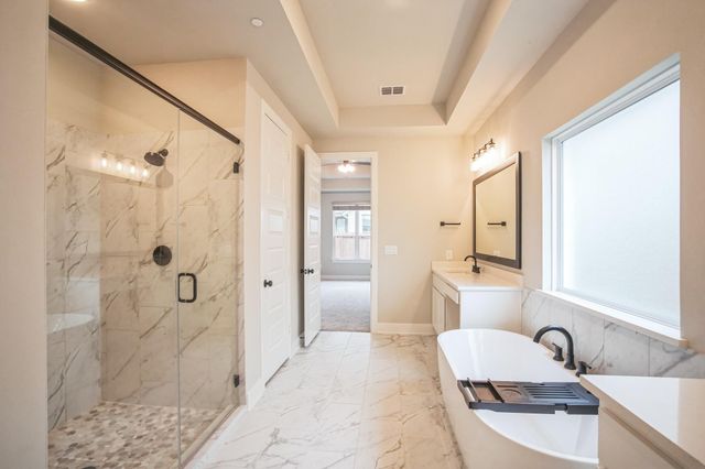 17321 Cain Clearing PASS, Austin, TX 78738