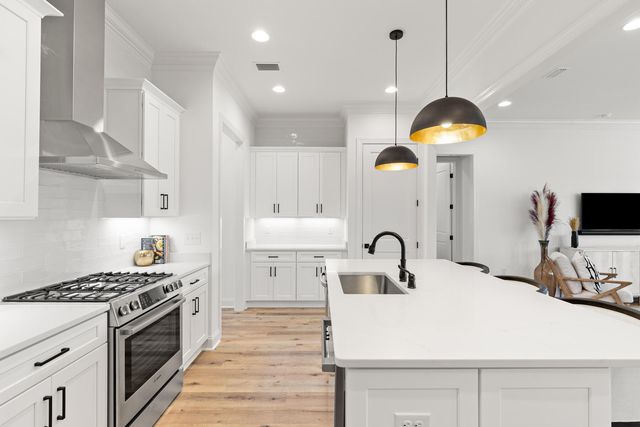 23 Green Heron Street Lot 54, Watersound, FL 32461