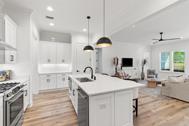 23 Green Heron Street Lot 54, Watersound, FL 32461