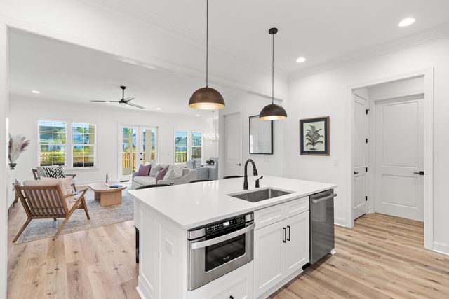 23 Green Heron Street Lot 54, Watersound, FL 32461