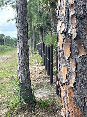 1030 Stallion Drive W, The Acreage, FL 33470