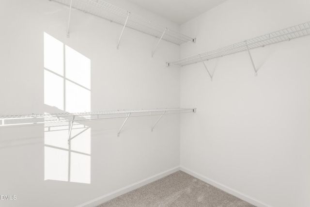 238 Plains Drive 313, Burlington, NC 27217