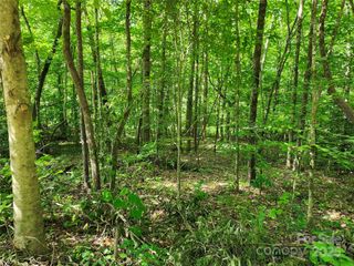 0000 Hayes Road 67, Columbus, NC 28722