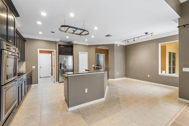 17206 TALENCE COURT, Tampa, FL 33647