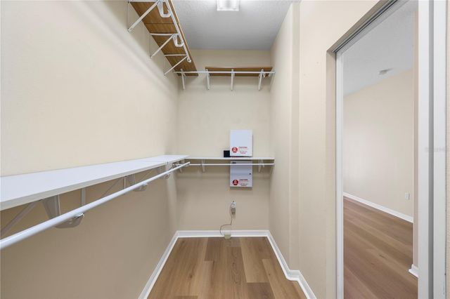 17206 TALENCE COURT, Tampa, FL 33647