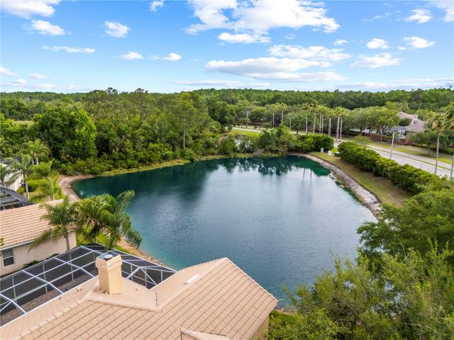 17206 TALENCE COURT, Tampa, FL 33647