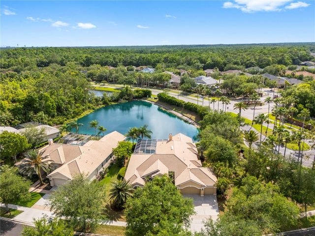 17206 TALENCE COURT, Tampa, FL 33647