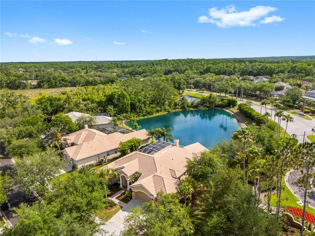 17206 TALENCE COURT, Tampa, FL 33647