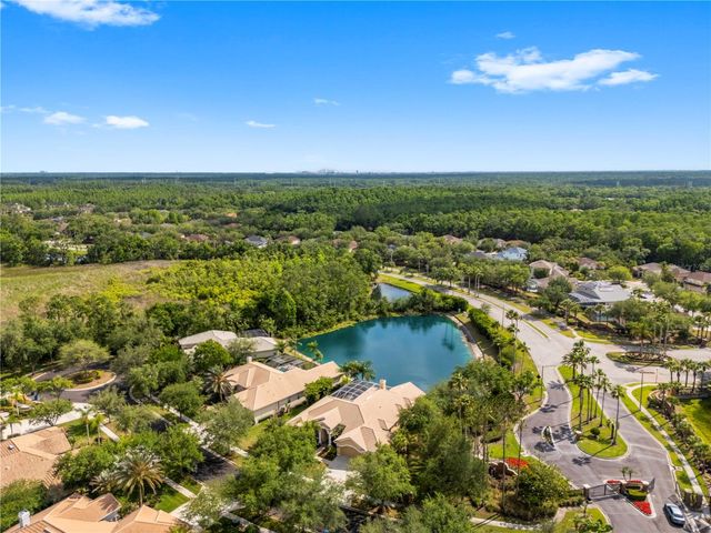 17206 TALENCE COURT, Tampa, FL 33647