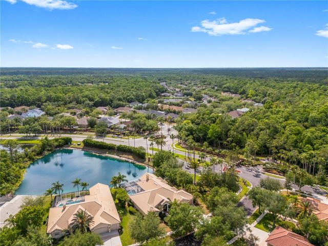 17206 TALENCE COURT, Tampa, FL 33647