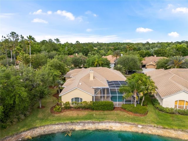 17206 TALENCE COURT, Tampa, FL 33647