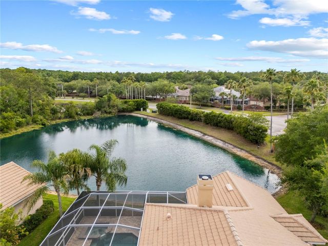 17206 TALENCE COURT, Tampa, FL 33647