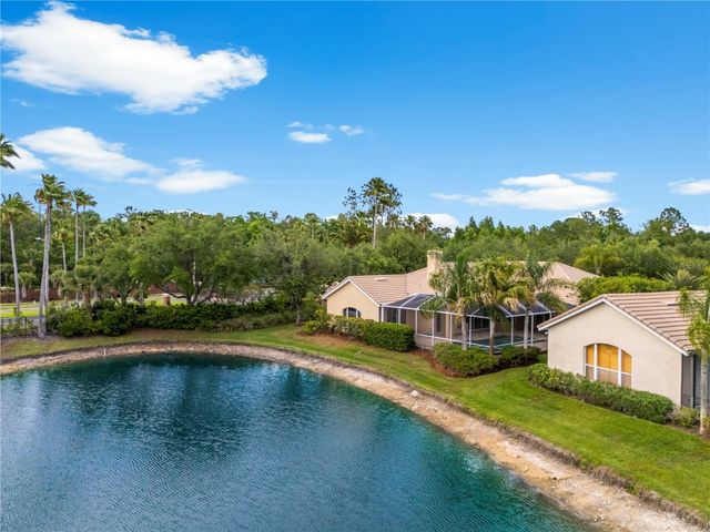 17206 TALENCE COURT, Tampa, FL 33647