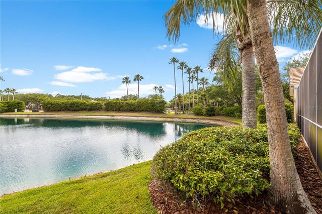 17206 TALENCE COURT, Tampa, FL 33647