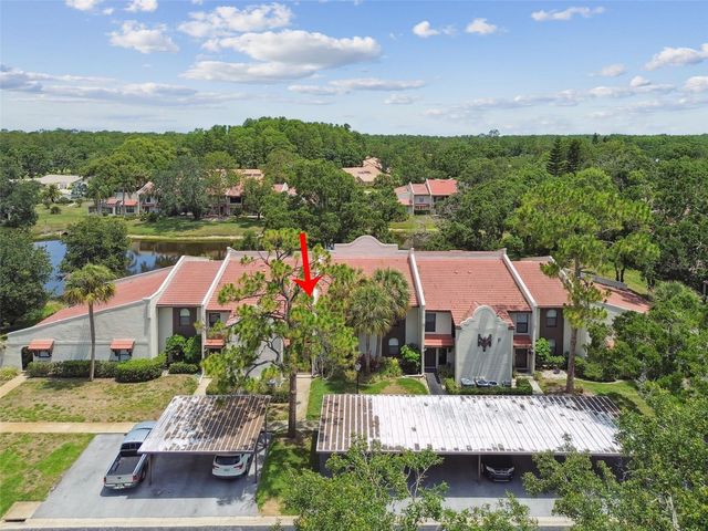 3505 TARPON WOODS BOULEVARD P404, Palm Harbor, FL 34685