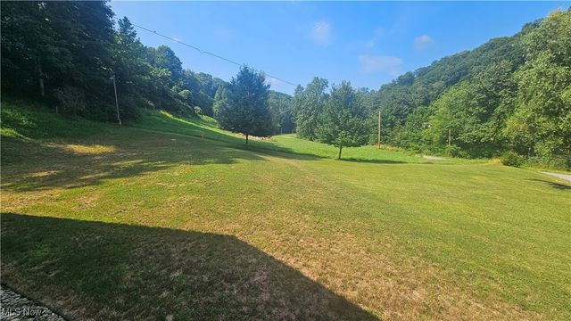 668 Bull River Run Rd, Grantsville, WV 26147