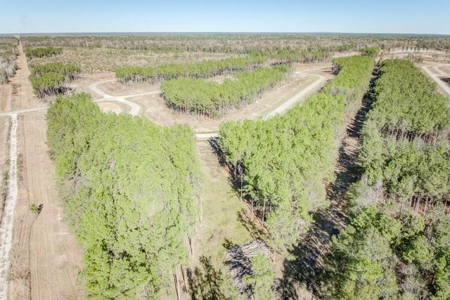 536 Road 5892, Cleveland, TX 77327