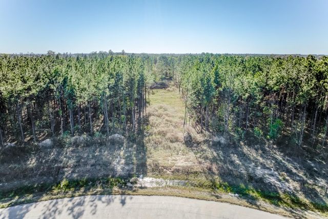 536 Road 5892, Cleveland, TX 77327