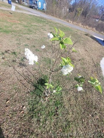 405 W Odle Street, Salina, OK 74365