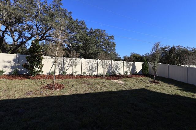 357 LADY PALM STREET, Apopka, FL 32703