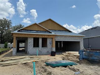 357 LADY PALM STREET, Apopka, FL 32703